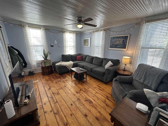 living room with ceiling fan and hardwood / wood-style flooring