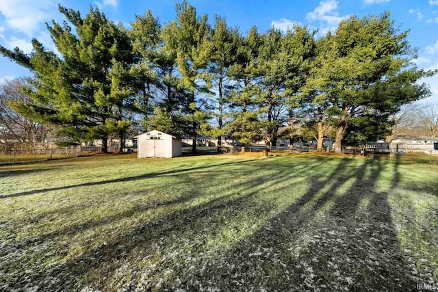 view of yard with a shed