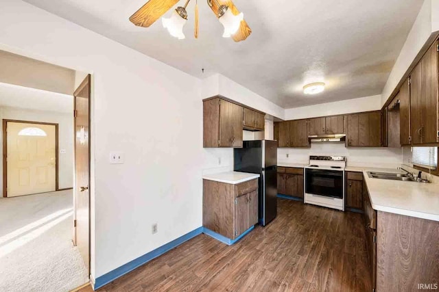 kitchen with dark hardwood / wood-style flooring, electric stove, sink, black fridge, and dark brown cabinets