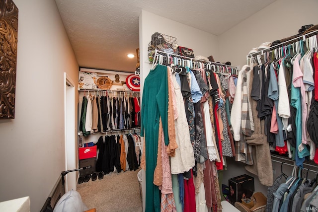 walk in closet with carpet flooring