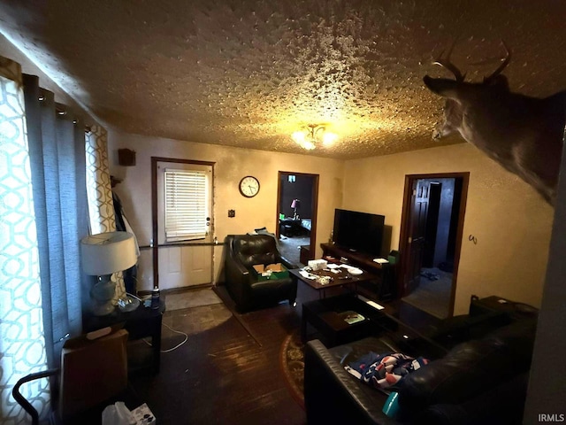 living room featuring a textured ceiling