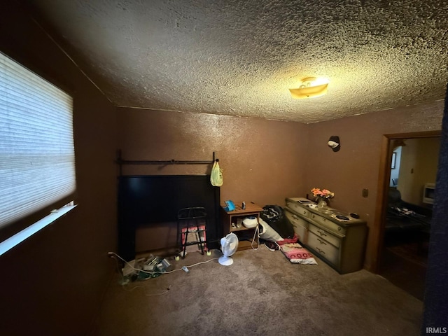 interior space featuring a textured ceiling, vaulted ceiling, and carpet floors