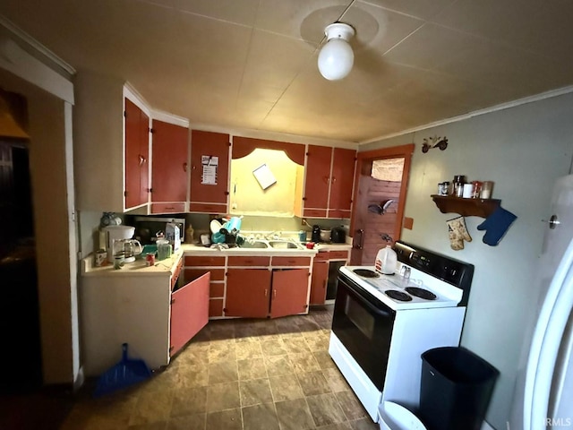 kitchen with electric stove, ornamental molding, and sink