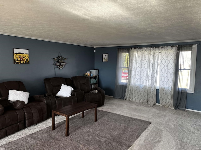 carpeted living room with a textured ceiling, ornamental molding, and a wealth of natural light