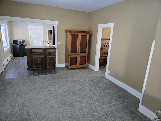 carpeted living room featuring baseboard heating