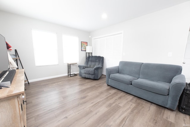 living room featuring hardwood / wood-style floors