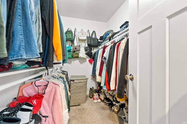 walk in closet with carpet floors