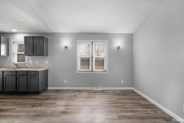 kitchen featuring sink, vaulted ceiling, dark wood-type flooring, and a textured ceiling