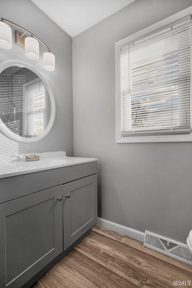 bathroom with hardwood / wood-style flooring and vanity