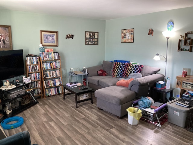 living room with hardwood / wood-style flooring