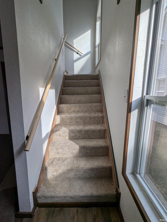 stairway featuring hardwood / wood-style flooring and plenty of natural light