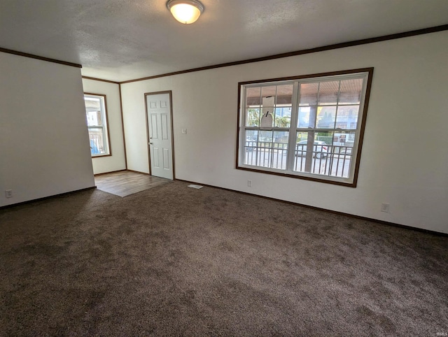 carpeted empty room with a wealth of natural light and a textured ceiling