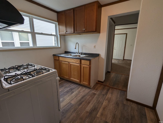 kitchen with extractor fan, white range with gas cooktop, dark hardwood / wood-style flooring, sink, and crown molding