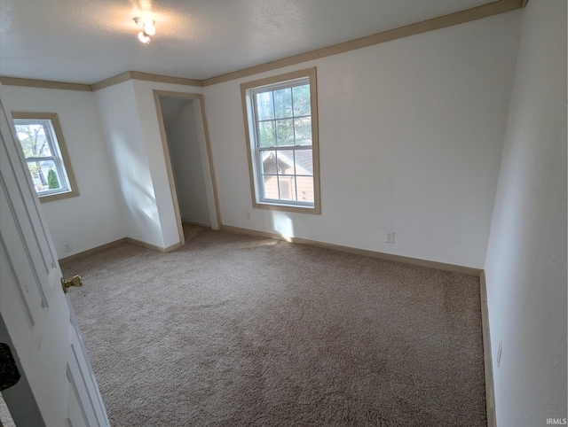 carpeted empty room with a wealth of natural light, ornamental molding, and a textured ceiling