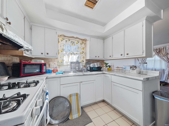 kitchen with sink, white cabinets, and a tray ceiling