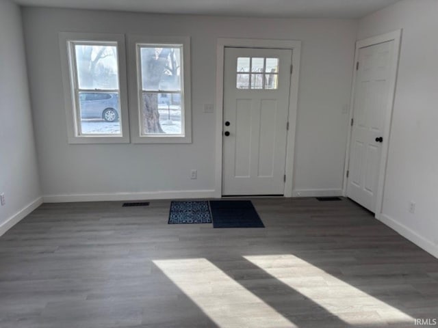 foyer featuring dark wood-type flooring