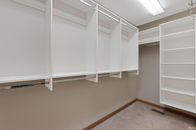 spacious closet featuring carpet floors