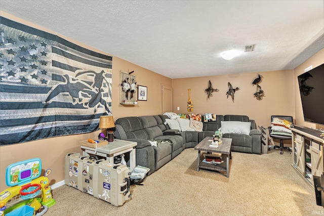 carpeted living room with a textured ceiling