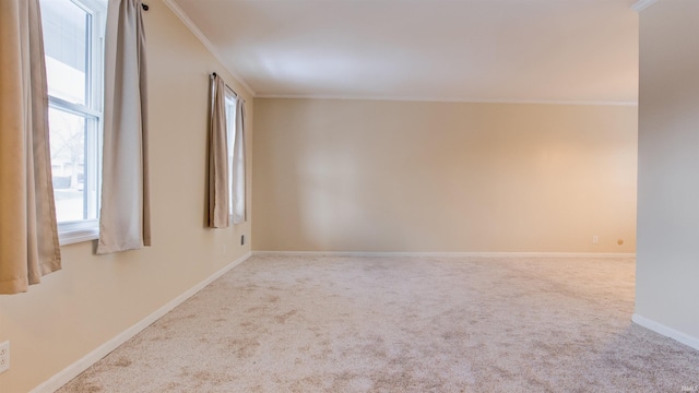 empty room with a wealth of natural light, crown molding, and carpet floors