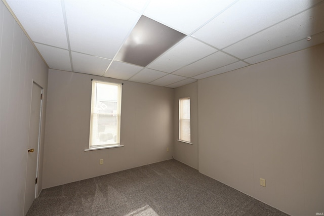 empty room featuring carpet and a paneled ceiling