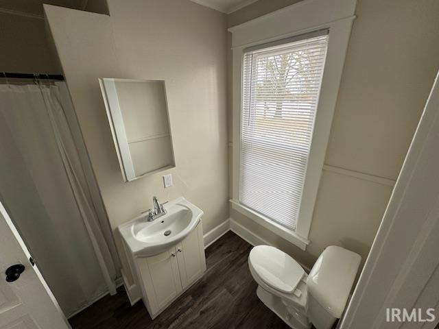 bathroom featuring hardwood / wood-style floors, toilet, and vanity