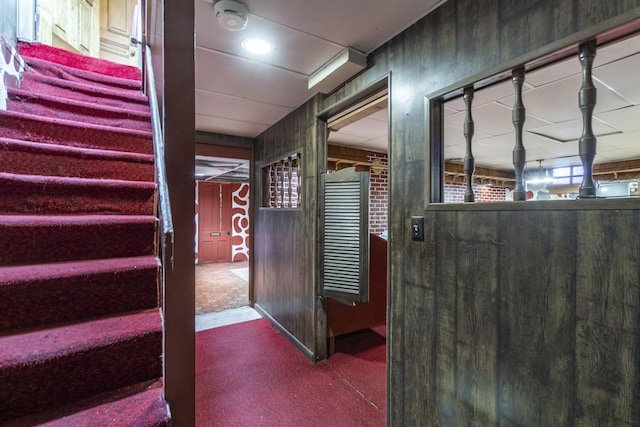 stairs with carpet floors and wood walls