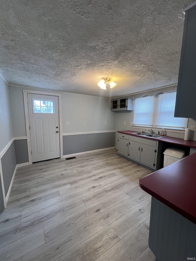 kitchen with sink and light wood-type flooring