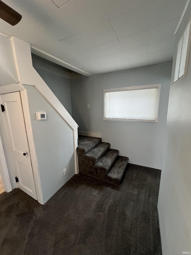 staircase with carpet floors