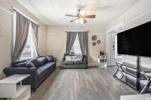 living room featuring ceiling fan and hardwood / wood-style floors