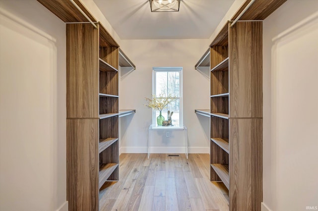 walk in closet with light wood-type flooring