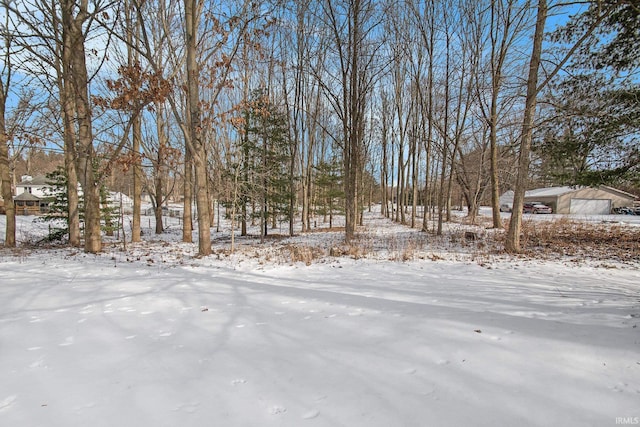 view of snowy yard