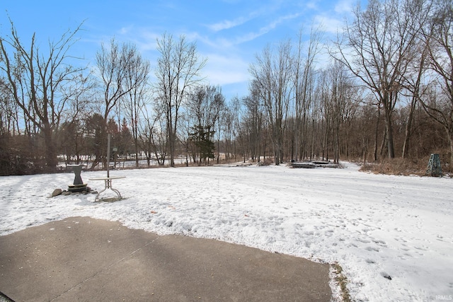 view of yard covered in snow