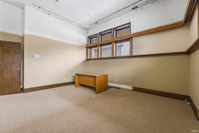 basement featuring carpet floors