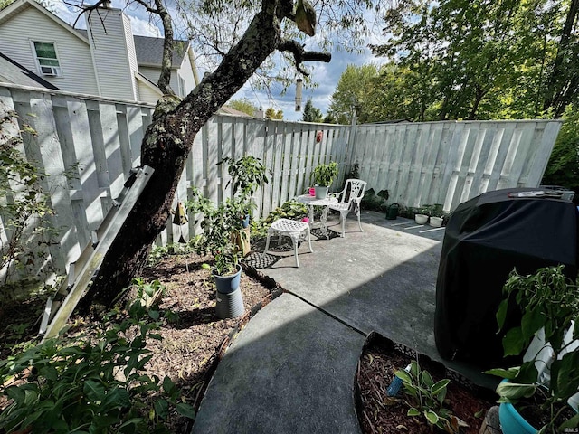 view of patio / terrace featuring area for grilling