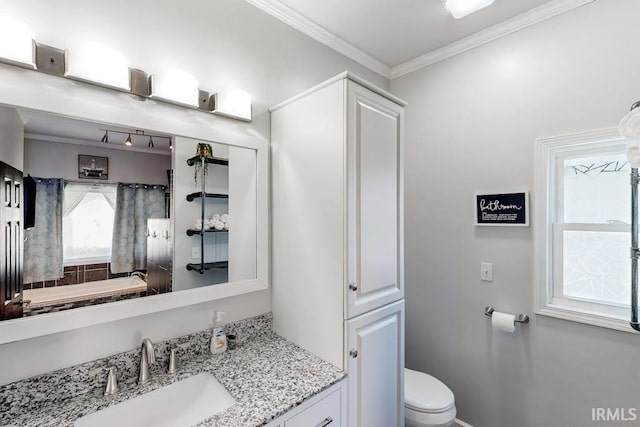 bathroom featuring vanity, toilet, and crown molding