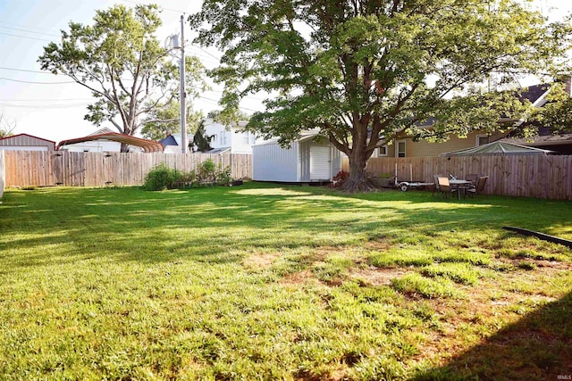 view of yard with a storage shed