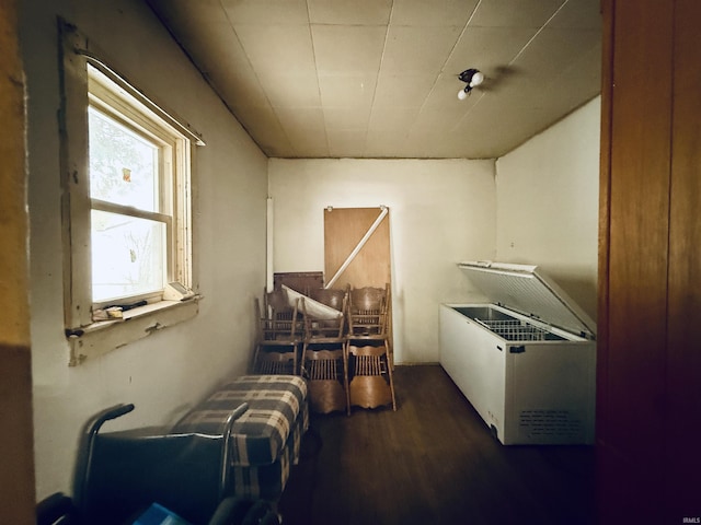 washroom featuring dark wood-type flooring