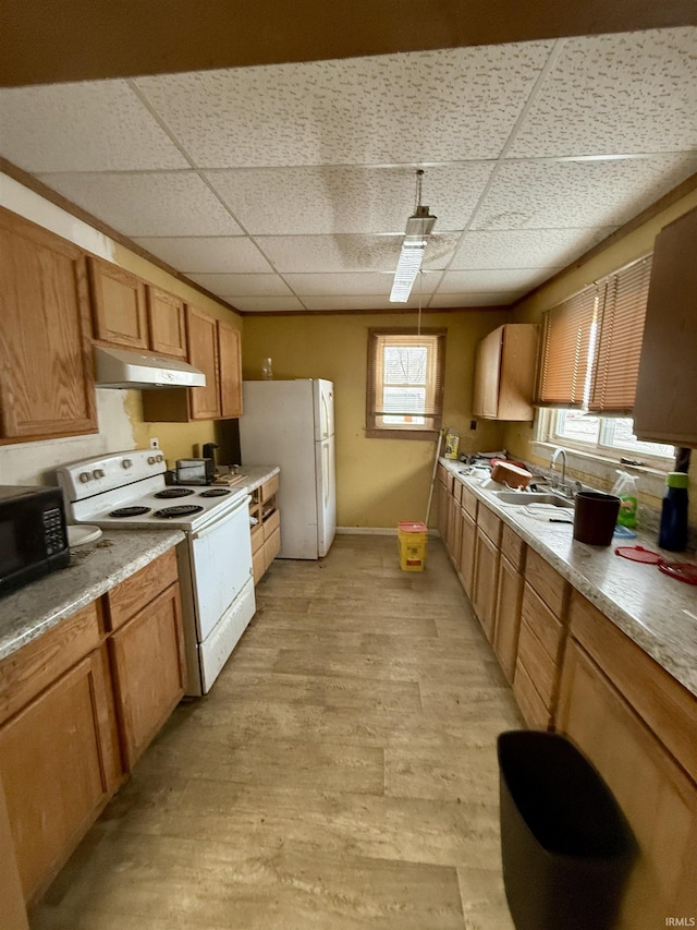 kitchen with sink, white appliances, a paneled ceiling, and light hardwood / wood-style flooring