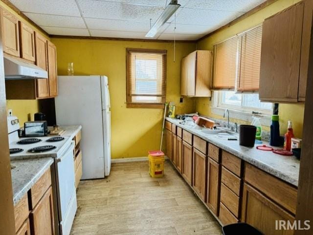 kitchen with sink, white appliances, light hardwood / wood-style flooring, and a paneled ceiling