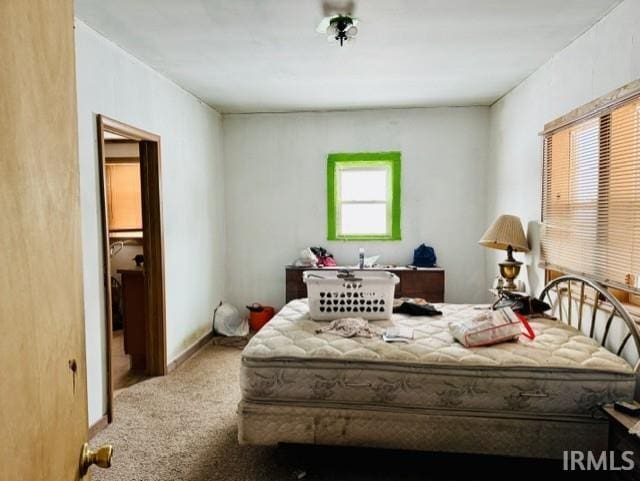 bedroom featuring carpet flooring