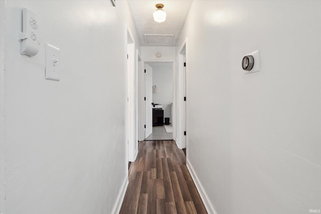 corridor with dark wood-type flooring