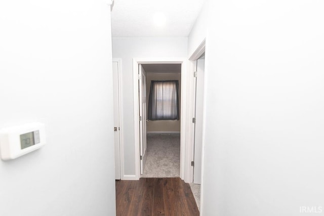 hall with dark hardwood / wood-style flooring