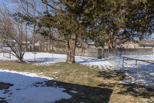 view of snowy yard