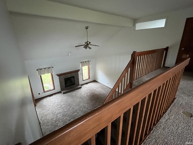 staircase featuring a fireplace, lofted ceiling with beams, ceiling fan, and carpet