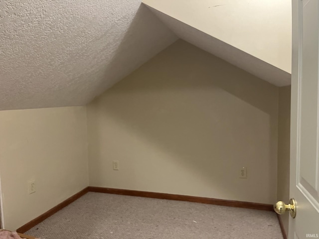 additional living space featuring lofted ceiling, carpet, and a textured ceiling