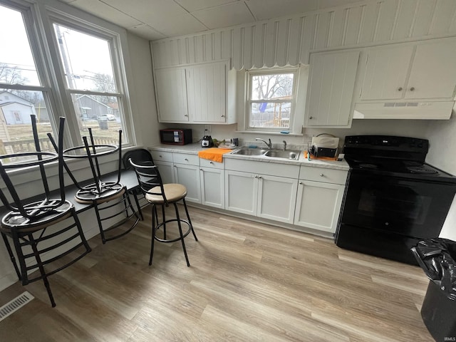 kitchen with sink, white cabinetry, black range with electric cooktop, a healthy amount of sunlight, and light hardwood / wood-style floors