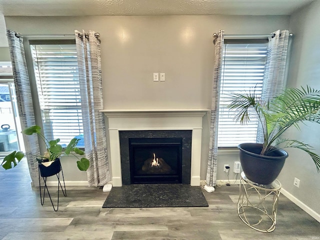 living room featuring hardwood / wood-style flooring