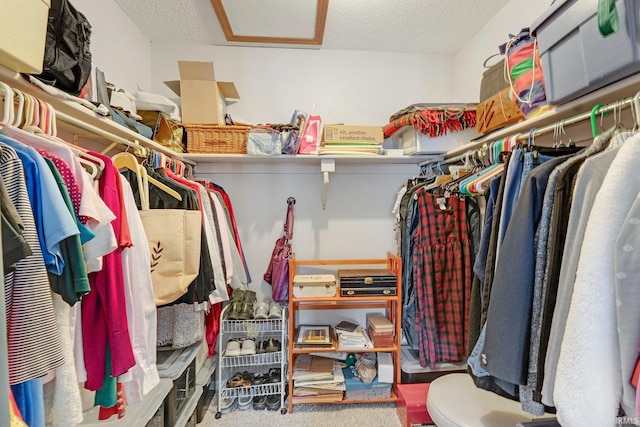 walk in closet featuring carpet flooring