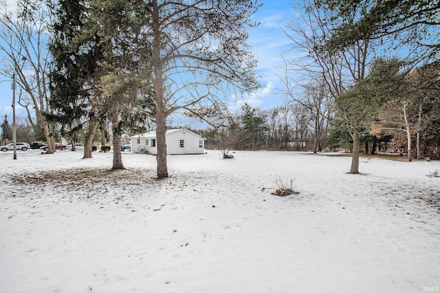 view of yard covered in snow