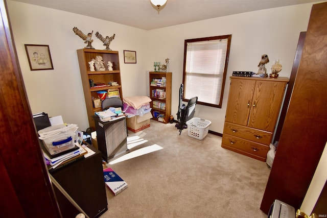 office area featuring light colored carpet